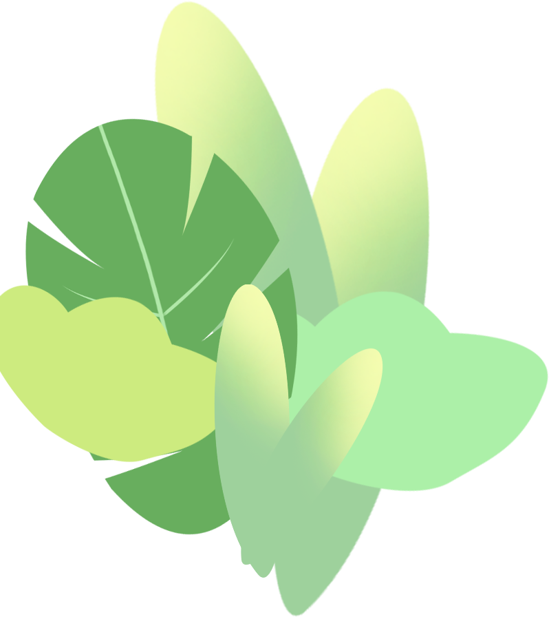 左植物.png